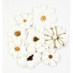 Little Birdie Flowers - SYMPHONY / Classic White / 8pcs