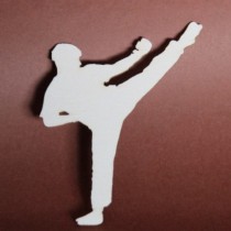 Chipboard - Karate Fighter