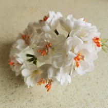 Apple Flowers - WHITE with...