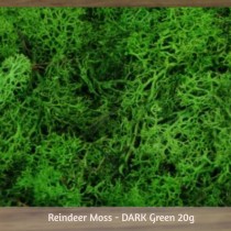 Reindeer Moss - DARK Green