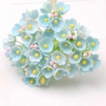 Small Flowers - SKY BLUE...