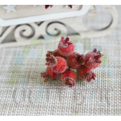 Big Red Berries - snowy rowanberry