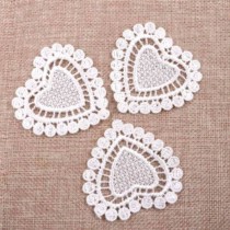Embroidered Appliques Lace...