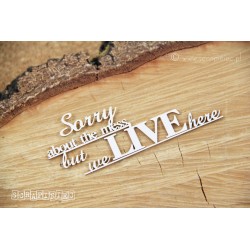 Chipboard -  text: "sorry about the mess...."
