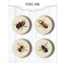 Adhesive Badges - INSECTS