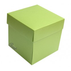 Exploding box -PEARL MISTY GREEN