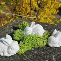Mold 52 - Easter Bunny