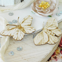 Chipboard - Butterfly and moth