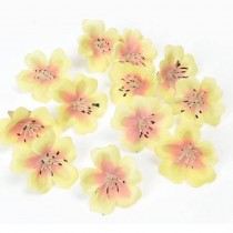 SMALL ORCHID - yellow 10pcs