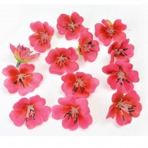 SMALL ORCHID - red rose 10pcs