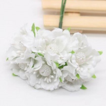 Pearl chrysanthemum  - WHITE