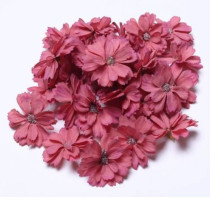 Silk Plum Flower - DARK RED...